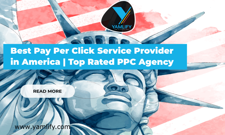 Best Pay Per Click Service provider in America